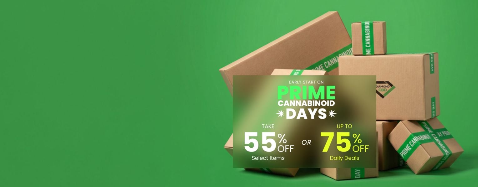 Homepage - Leaderboard - Prime Days