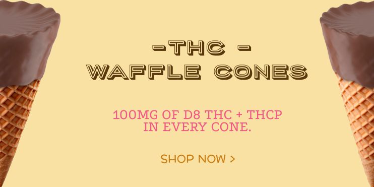 Collection - THC Waffle cone