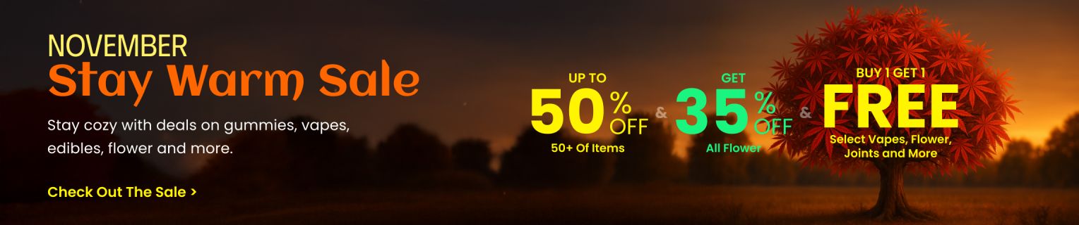 Collection - Warm Up