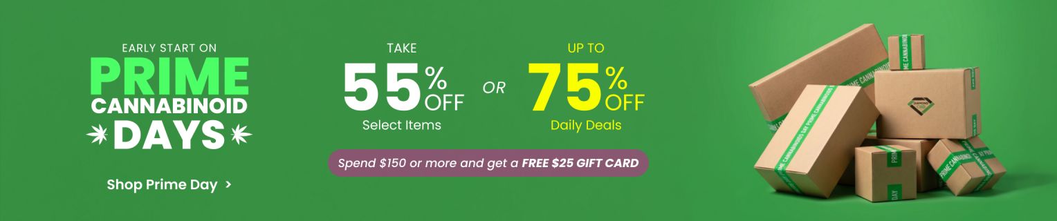 Collection - Banner - Prime Days