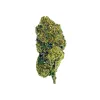 Green D2OSIS Flower – Hybrid – THCA