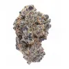 Pure Michigan Flower – Indica – THCA