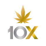 10X Icon