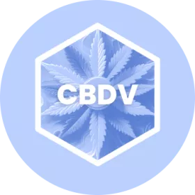 CBDV