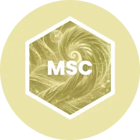 MSC