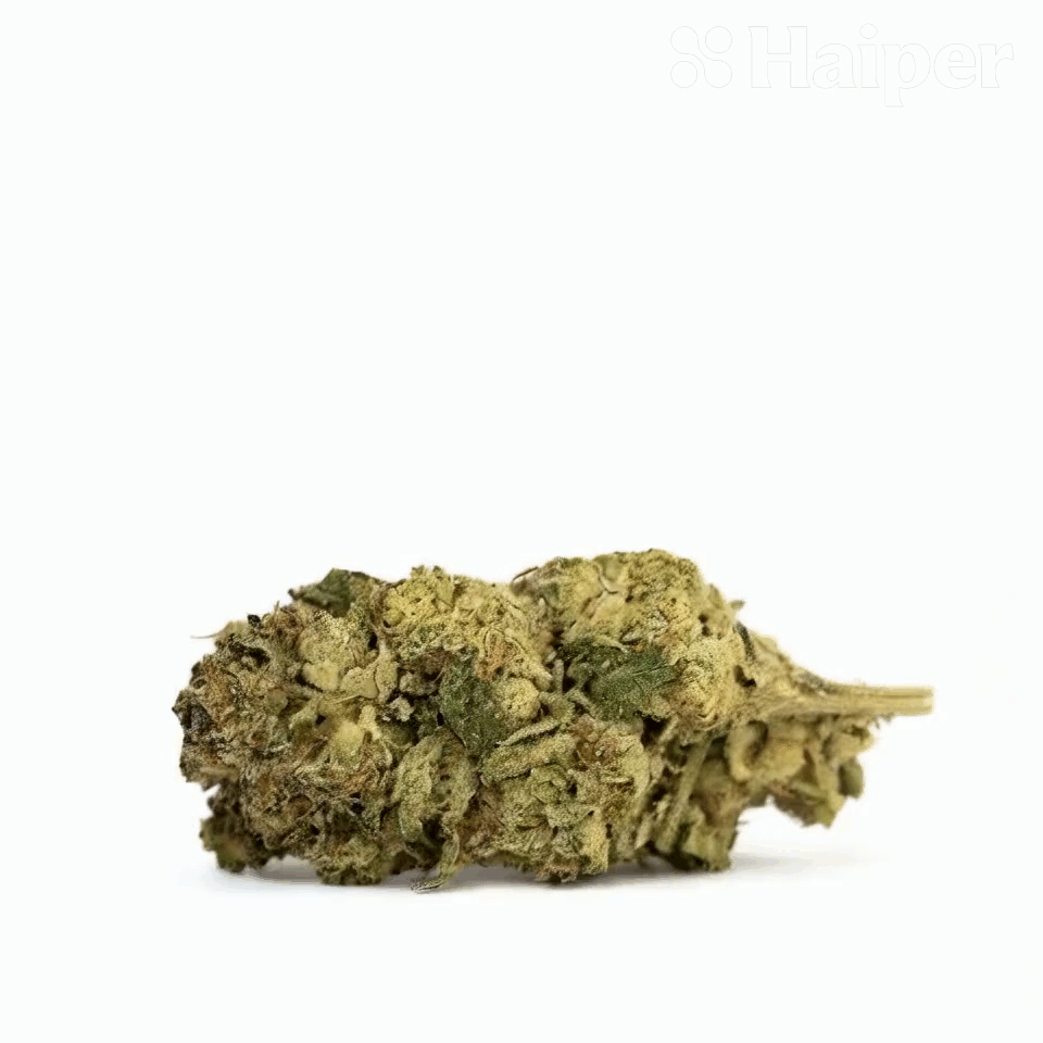 Walrus Kush Flower - Hybrid - THCA - 2