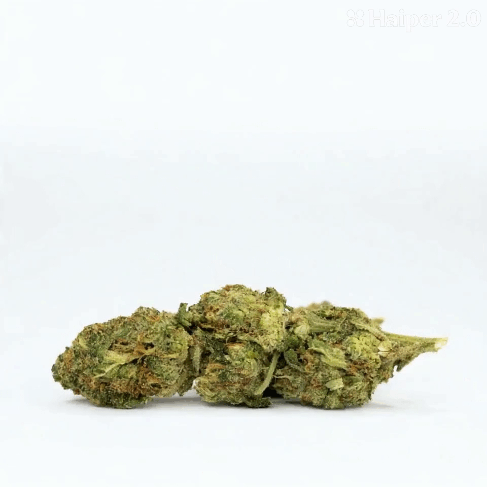 Blue Satellite Flower – Sativa – THCA - 2