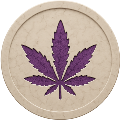 Purple Dream Strain
