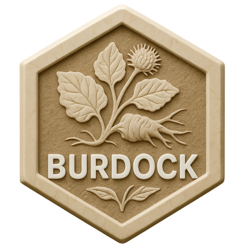 Burdock Products