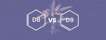 Delta 8 vs. Delta 9 The Two Most Popular Cannabinoids