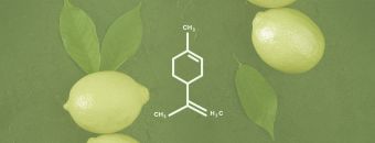 Limonene Terpene Effects & Benefits - The Ultimate Guide