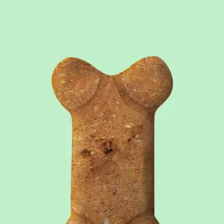 CBD For Dogs
