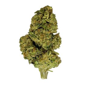 PBJ Flower – Hybrid – THCA