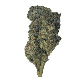 Gusher Cake Flower – Hybrid – THCA