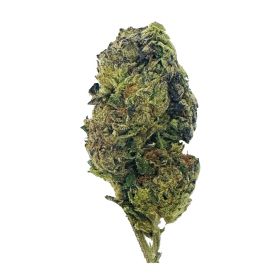 Silver Haze Flower – Sativa – THCA
