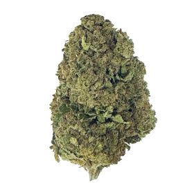 Sherbadough Flower – Hybrid – THCA