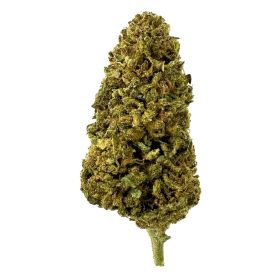 Illuminati Flower – Hybrid – THCA