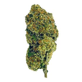 Melon Flower – Hybrid – THCA