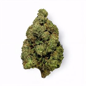 Area 41 Flower - Hybrid - THCA