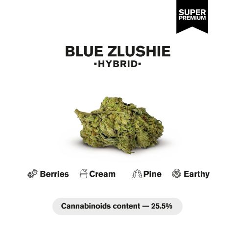 Blue Zlushie Flower – Hybrid – THCA - Thumbnail 4