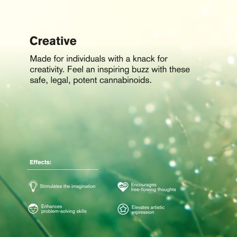 RS11 x Runtz Flower – Hybrid – THCA - Thumbnail 6
