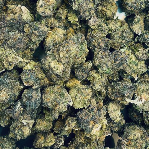 Gushers Flower – Hybrid – THCA - Thumbnail 3