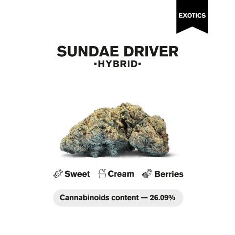 Sundae Driver Flower – Hybrid – THCA - Thumbnail 3