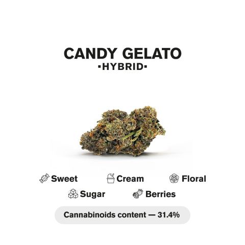 1.5g Candy Gelato King Size Pre-Roll - Hybrid - THCA - 1 Joint - Thumbnail 5