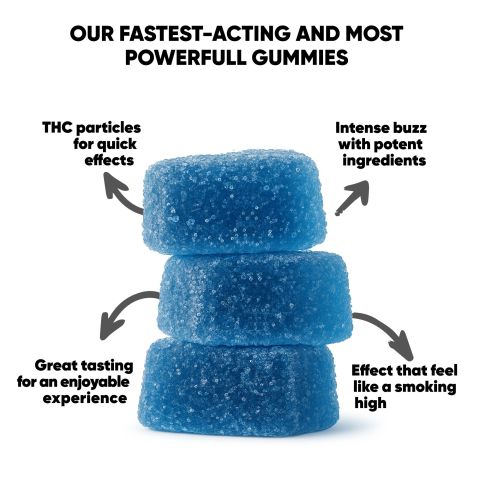 10mg Terpene Gummies - Blueberry - Terps Gummies - Thumbnail 10