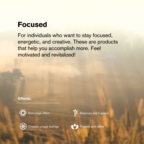 Focus Blend - 2000mg Vape Cart - Sativa - 2ml - Blends by Fresh - Thumbnail 5