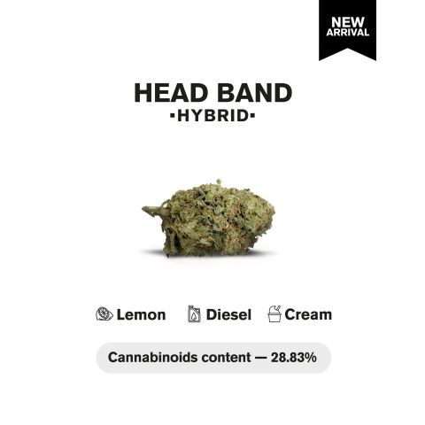 Head Band Flower – Hybrid – THCA - Thumbnail 4