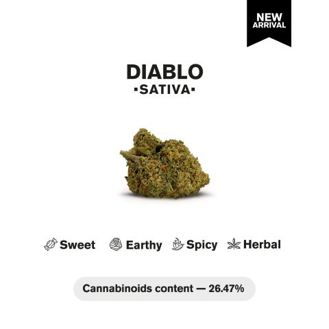 Diablo Flower – Sativa – THCA - Thumbnail 4