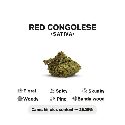 0.5g Red Congolese Mini Pre-Roll - Sativa - THCA - 5 Joints - Thumbnail 5