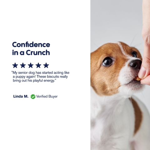 300mg CBD Pet Treats For Dogs - Bone Marrow Chew - MediPets - Thumbnail 8