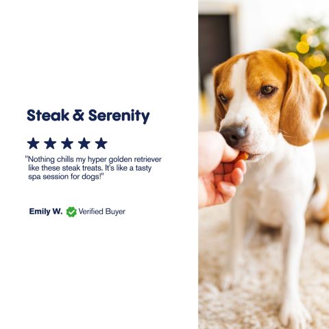 500mg CBD Pet Treats For Dogs - Grilled Steak - MediPets - Thumbnail 8