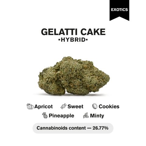 Gelatti Cake Flower – Hybrid – THCA - Thumbnail 3