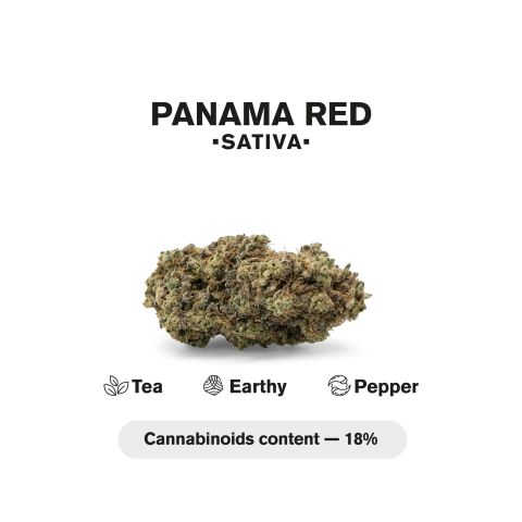 1.5g Panama Red King Size Pre-Roll - Sativa - THCA - 1 Joint - Thumbnail 5