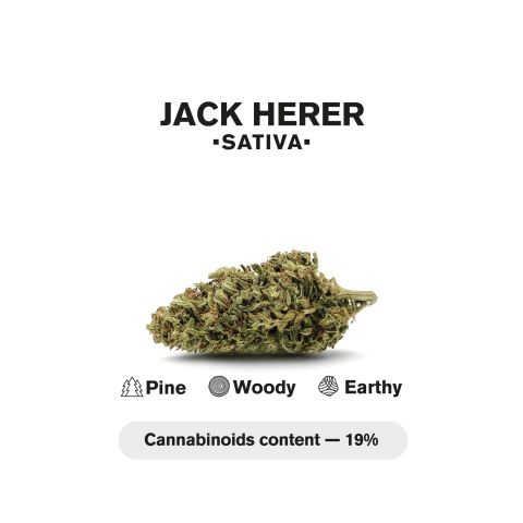 0.5g Jack Herer Mini Pre-Roll - Sativa - THCA - 5 Joints - Thumbnail 5