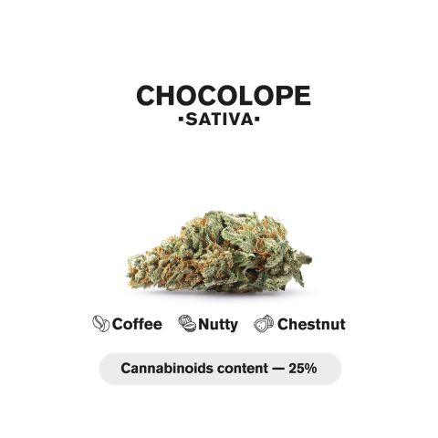 0.5g Chocolope Strain Mini Pre-Roll - Sativa - THCA - 5 Joints - Thumbnail 5