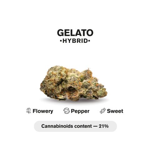 1.5g Gelato Strain King Size Pre-Roll - Hybrid - THCA - 5 Joints - Thumbnail 5
