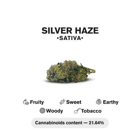 1.5g Silver Haze King Size Pre-Roll - Sativa - THCA - 5 Joints - Thumbnail 5