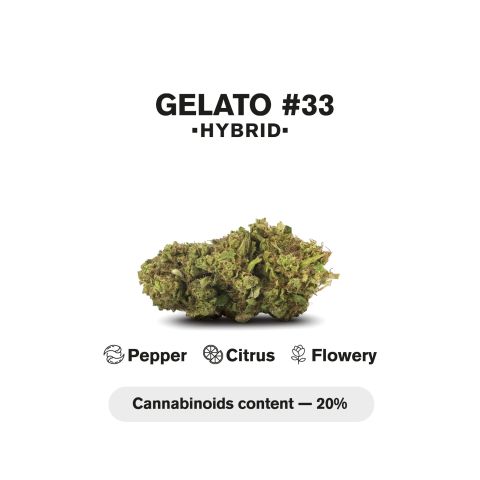 1.5g Gelato #33 Strain King Size Pre-Roll - Hybrid - THCA - 5 Joints - Thumbnail 5