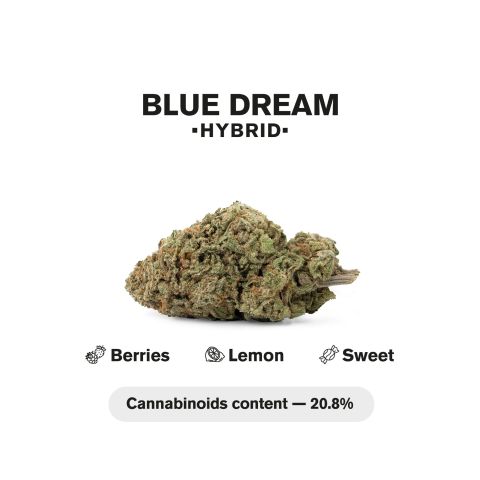 1.5g Blue Dream King Size Pre-Roll - Hybrid - THCA - 5 Joints - Thumbnail 5