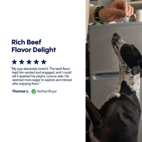 200mg CBD Pet Treats For Dogs - Meaty Steak Treats - MediPets - Thumbnail 8