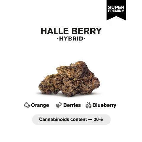 Halle Berry Flower - Hybrid - THCA - Thumbnail 3
