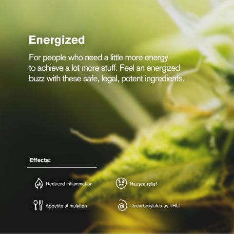Sativa Blend Ground Flower - Sativa - THCA - Thumbnail 5