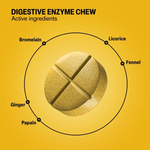 500mg Digestive Enzyme Tablets - Pineapple Papaya - Mood Tablets - Thumbnail 5