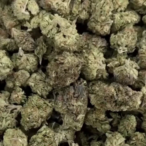 Head Band Flower – Hybrid – THCA - Video Thumbnail 1