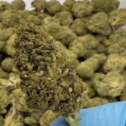 Illuminati Flower – Hybrid – THCA - Video Thumbnail 1