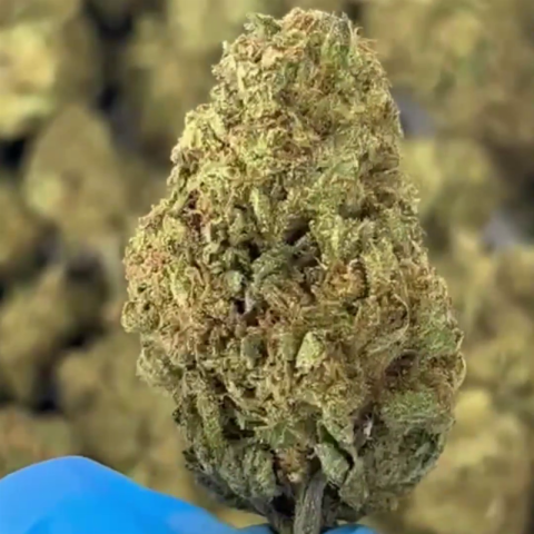 Legend OG Flower – Indica – THCA - Video Thumbnail 1